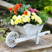 Decorative Wheelbarrow in Distressed Wood